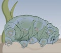 cute cartoon tardigrade (water bear) sleeps on the sand